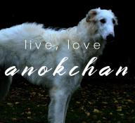 borzoi,gothborzoi,shadow // 533x488 // 84KB