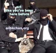 act raccoon,how to // 480x453 // 61KB