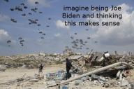 palestine,gaza,biden // 650x433 // 90KB