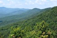 Appalachian forest // 1280x853 // 519KB