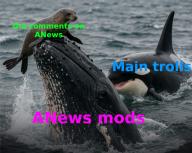 anews comments mods trolls // 800x639 // 673KB