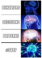 #SABF behaviors decisions patterns // 512x699 // 307KB