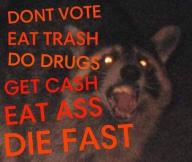 advice racoon // 646x546 // 37KB