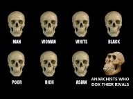 dox evolution // 960x718 // 159KB