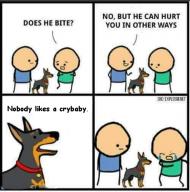 bite // 500x505 // 91KB