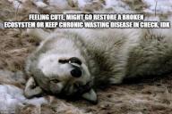 fuck haters // 480x322 // 34KB