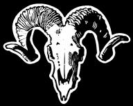 bones generic image sticker // 570x458 // 526KB