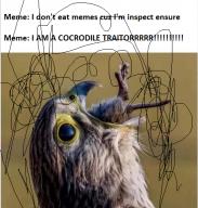 asphalt disc elephant meme memegan negligence salive space // 456x476 // 246KB