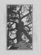 anarchy anti-civ civilization green tech trees wires // 552x732 // 66KB