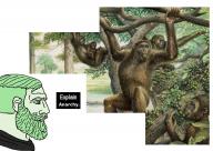 anarchy // 1200x853 // 245KB