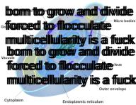 anticiv // 540x419 // 88KB