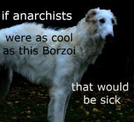borzoi,sosick,anarchists // 533x488 // 88KB