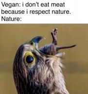nature vegan veganism wild // 906x960 // 55KB