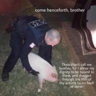 acab pig police // 941x941 // 129KB